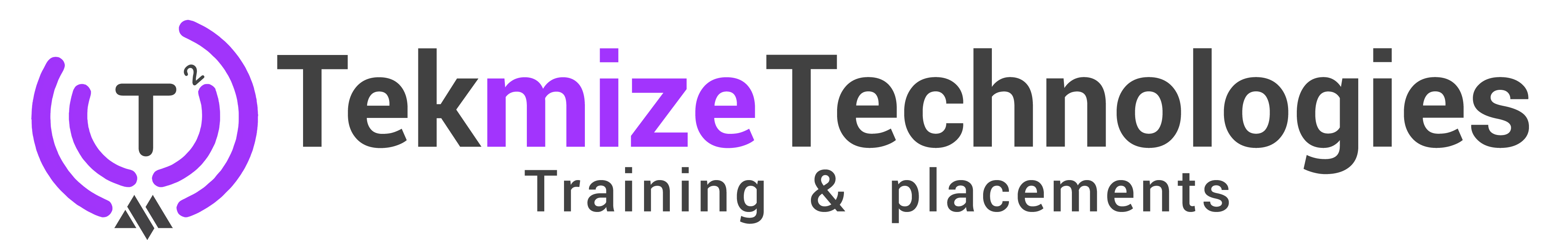 Tekmize Technologies 